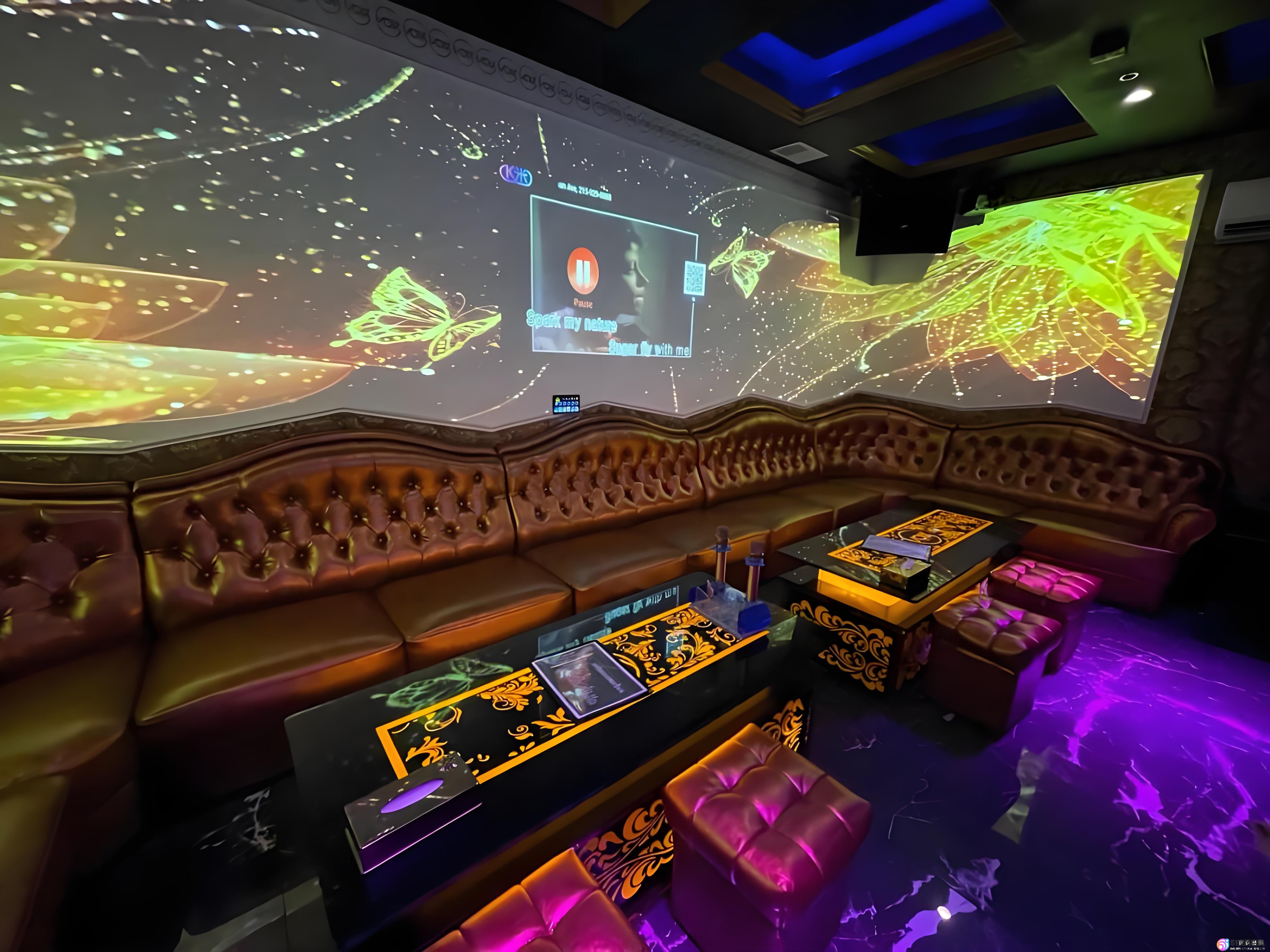 夜店女性的真实生活：偏见与事实解析